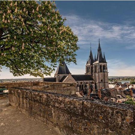 Appartement Coeur De Blois /Heart Of The City Exterior foto