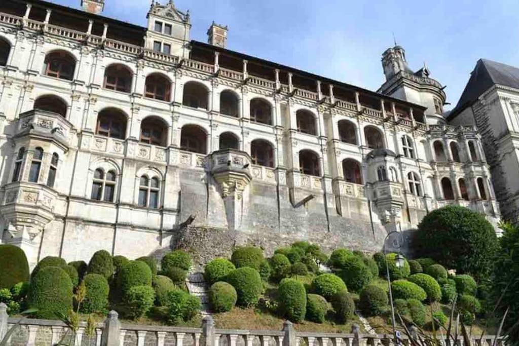 Appartement Coeur De Blois /Heart Of The City Exterior foto